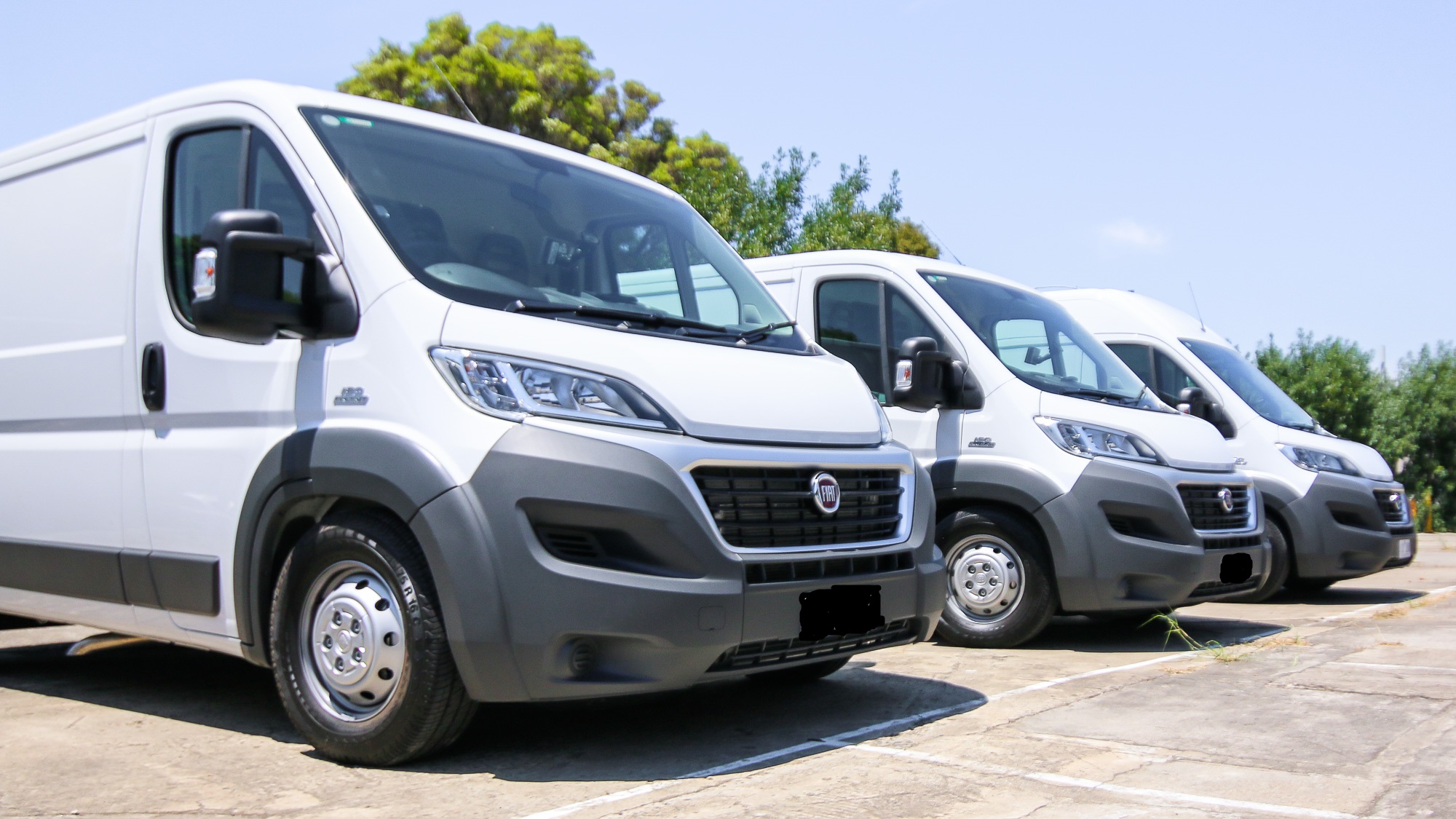 fiat livre